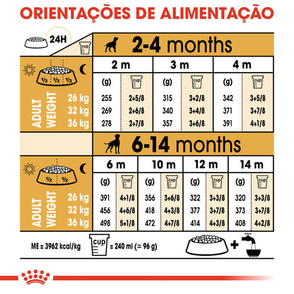Royal Canin Boxer Cachorro Cão Aves - Ração seca para cão