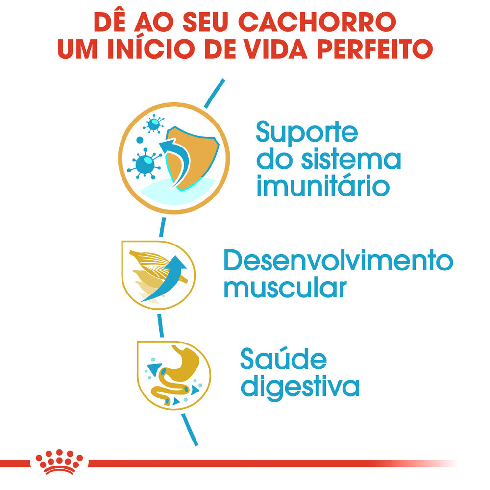 Royal Canin Boxer Cachorro Cão Aves - Ração seca para cão