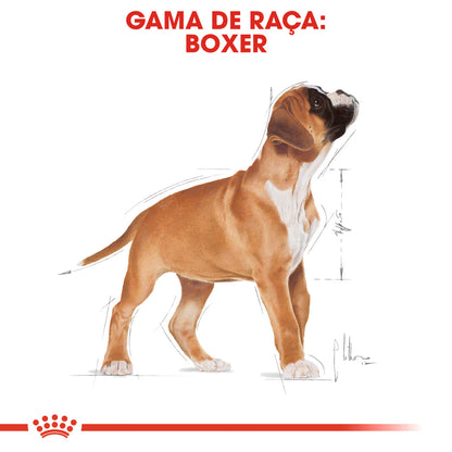Royal Canin Boxer Cachorro Cão Aves - Ração seca para cão