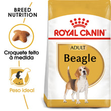 Royal Canin Perro Beagle Adulto Aves - Pienso seco para perro para control de peso