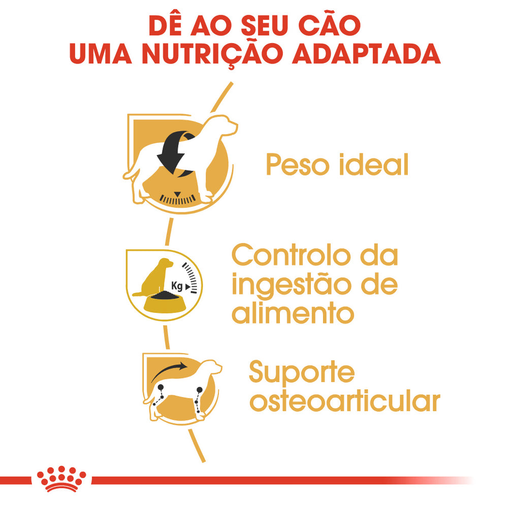 Royal Canin Cão Beagle Adulto Aves - Ração seca para cão para controlo de peso