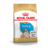 Royal Canin Cão Bulldog Cachorro Aves - Ração seca para cão