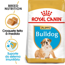 Royal Canin Cão Bulldog Cachorro Aves - Ração seca para cão