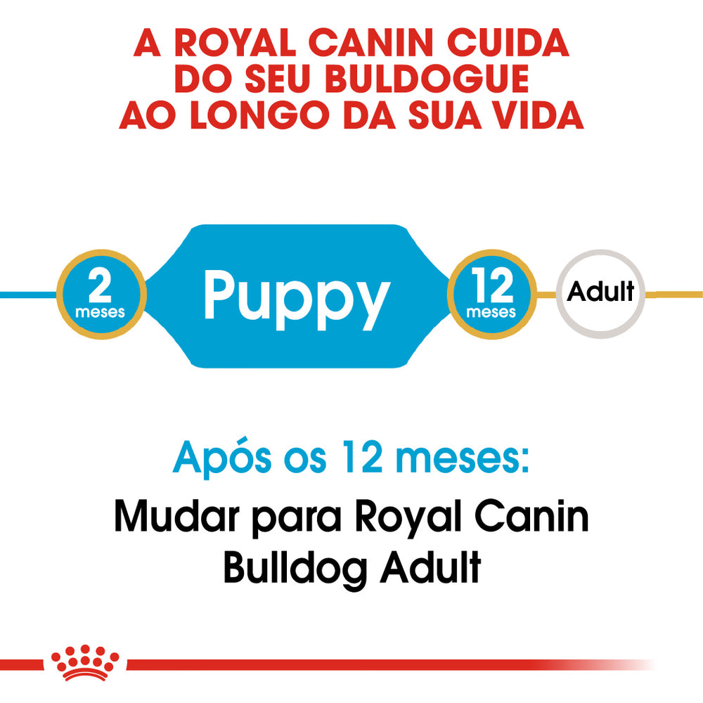 Royal Canin Cão Bulldog Cachorro Aves - Ração seca para cão