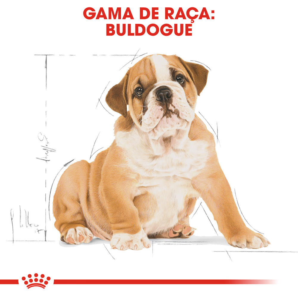 Royal Canin Cão Bulldog Cachorro Aves - Ração seca para cão