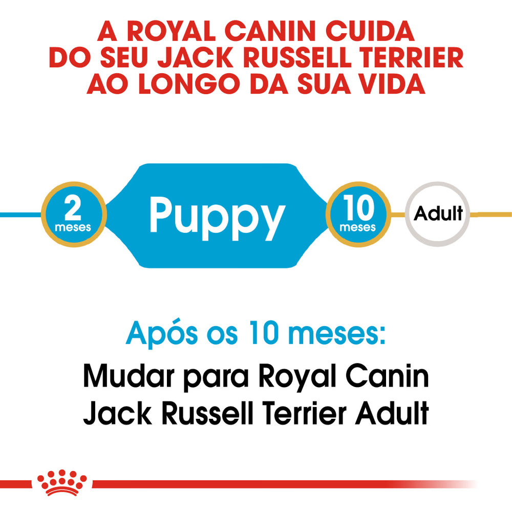 Royal Canin Perro Cachorro Jack Russell Terrier Aves - Pienso seco para perro