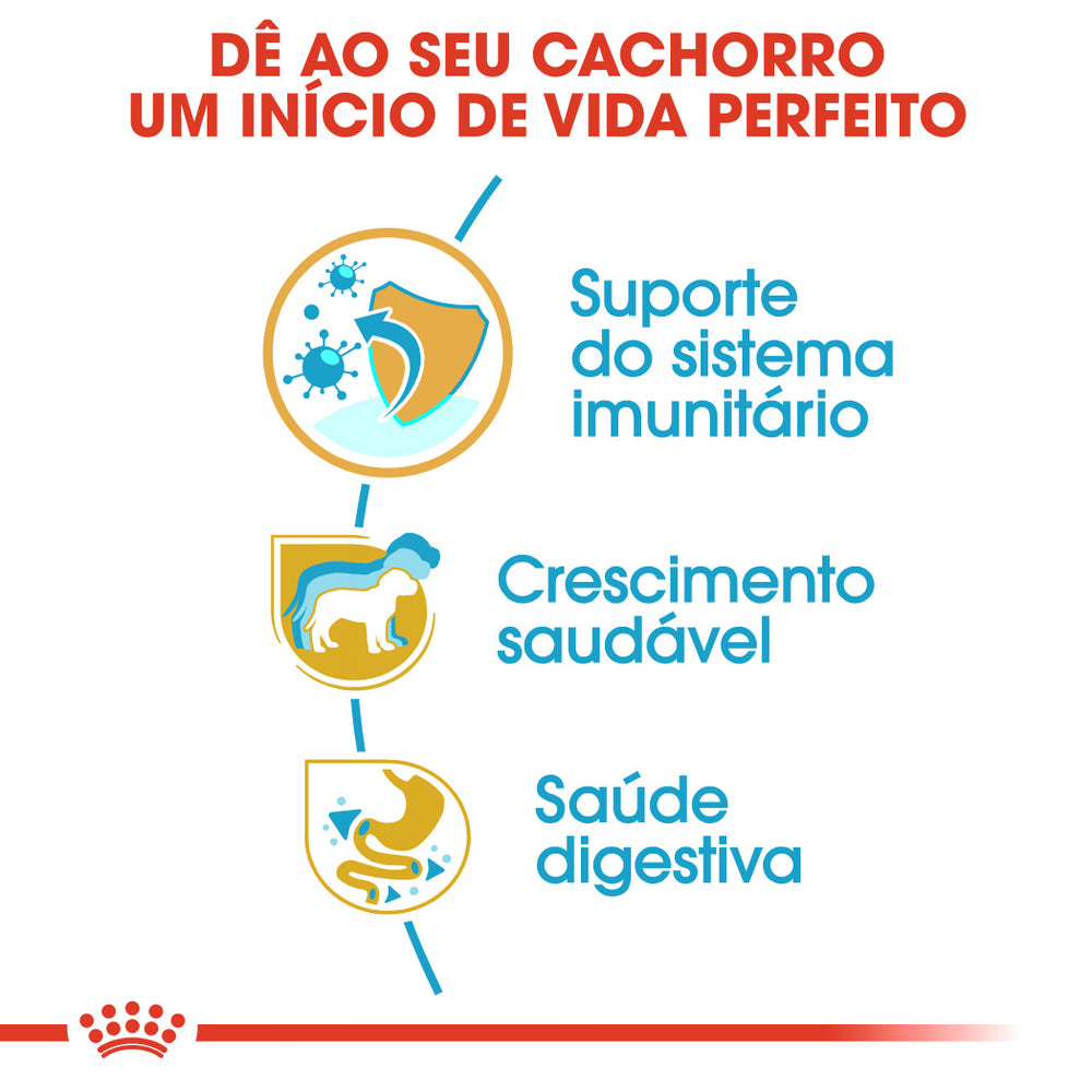 Royal Canin Perro Cachorro Jack Russell Terrier Aves - Pienso seco para perro