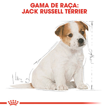 Royal Canin Perro Cachorro Jack Russell Terrier Aves - Pienso seco para perro