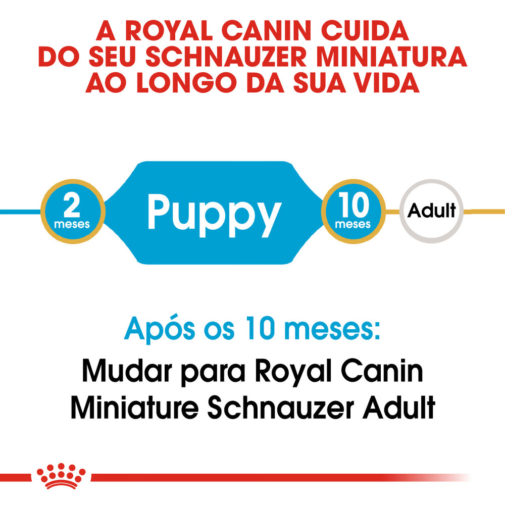 Royal Canin Dog Puppy Miniature Schnauzer Poultry - Dry dog food