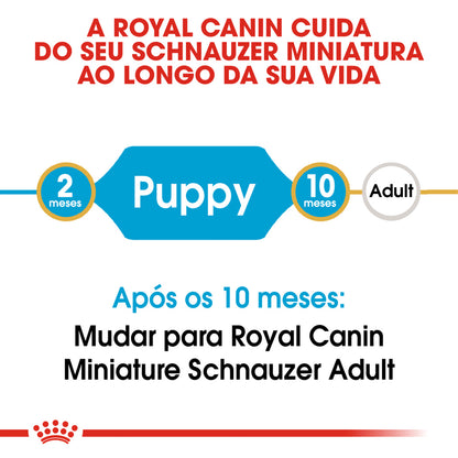 Royal Canin Dog Puppy Miniature Schnauzer Poultry - Dry dog food