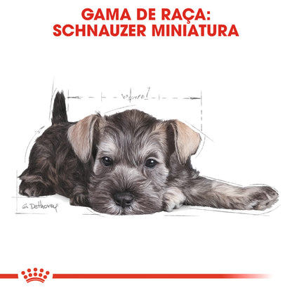 Royal Canin Dog Puppy Miniature Schnauzer Poultry - Dry dog food