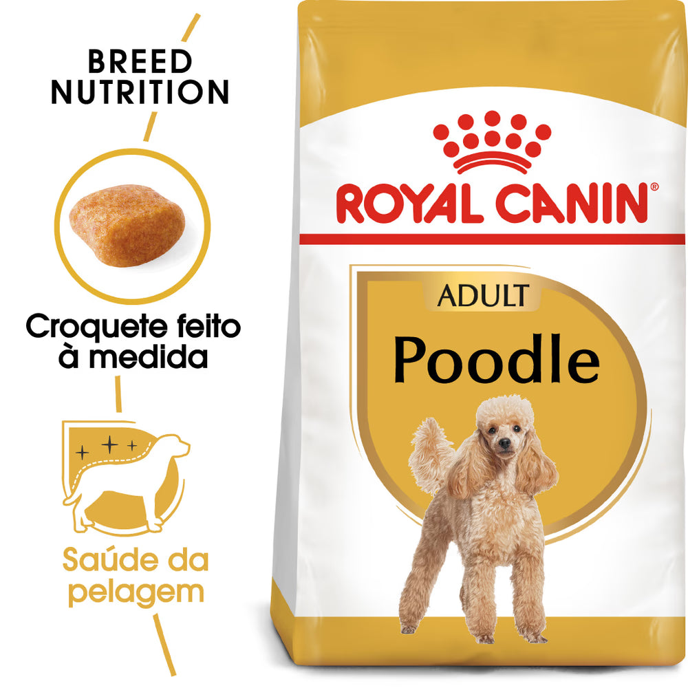 Royal Canin Perro Caniche Adulto Carne de Aves - Pienso seco para perro