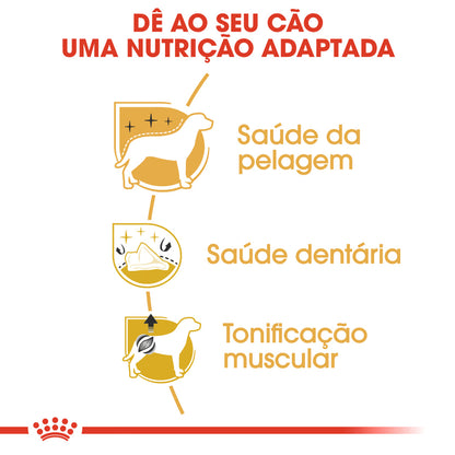 Royal Canin Perro Caniche Adulto Carne de Aves - Pienso seco para perro