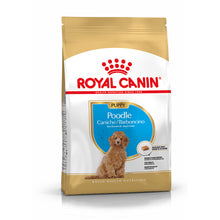 Royal Canin Dog Poodle Puppy Poultry - Dry food for dogs