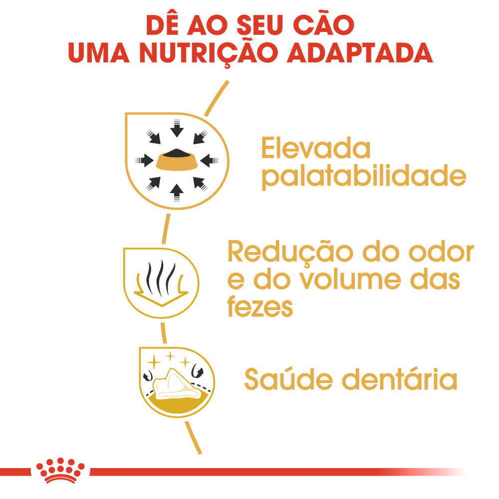 Royal Canin Cão Chihuahua Adulto Aves - Ração seca para cão