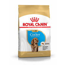 Royal Canin Perro Cocker Cachorro Aves - Pienso seco para perro