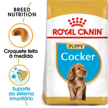 Royal Canin Perro Cocker Cachorro Aves - Pienso seco para perro