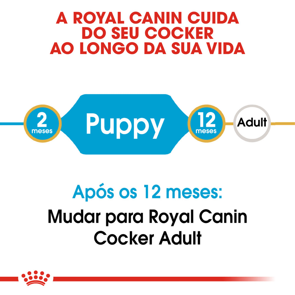 Royal Canin Perro Cocker Cachorro Aves - Pienso seco para perro