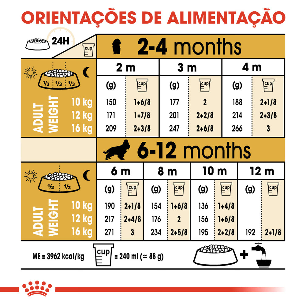 Royal Canin Perro Cocker Cachorro Aves - Pienso seco para perro