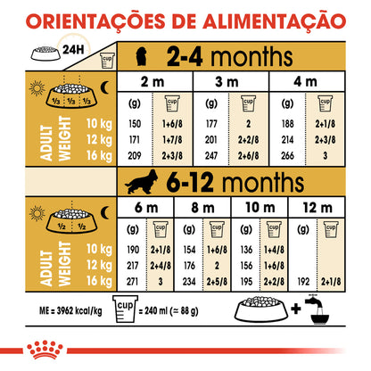 Royal Canin Perro Cocker Cachorro Aves - Pienso seco para perro