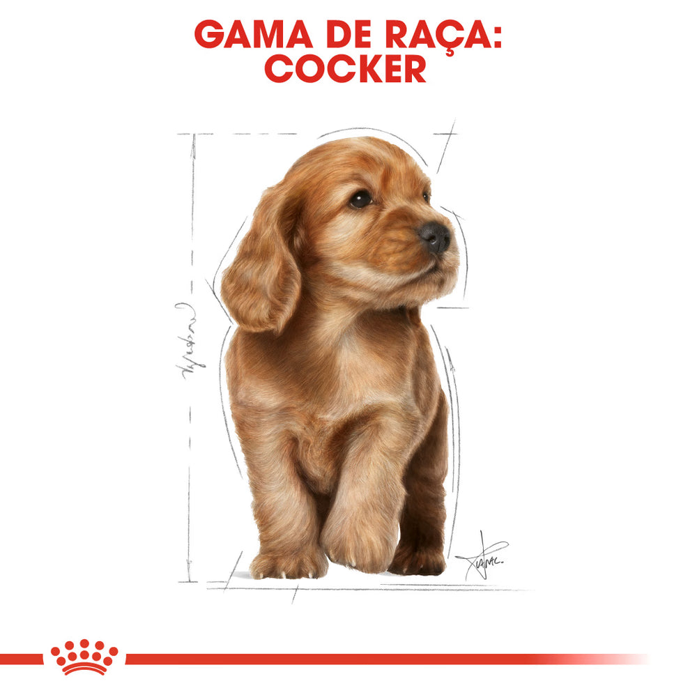 Royal Canin Perro Cocker Cachorro Aves - Pienso seco para perro
