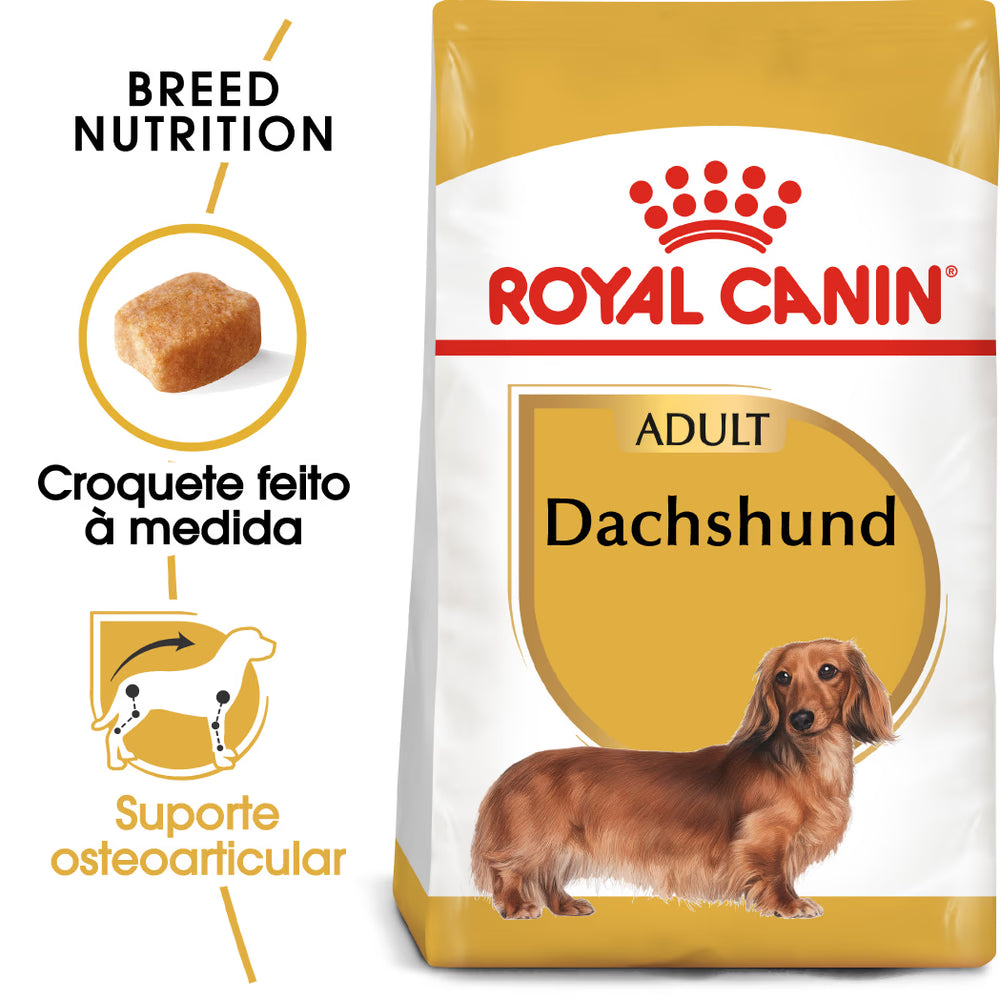 Royal Canin Perro Dachshund Adulto Aves - Pienso seco para perro