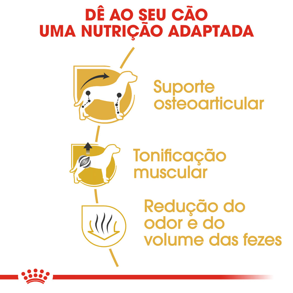 Royal Canin Perro Dachshund Adulto Aves - Pienso seco para perro