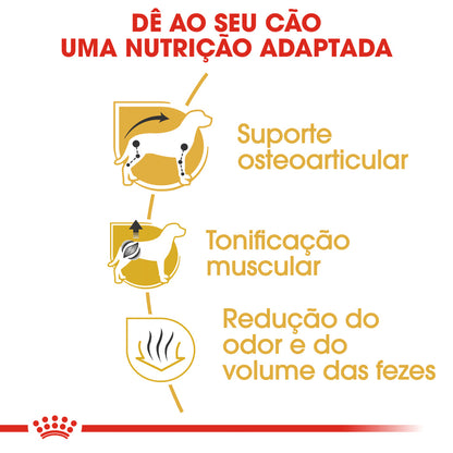 Royal Canin Perro Dachshund Adulto Aves - Pienso seco para perro