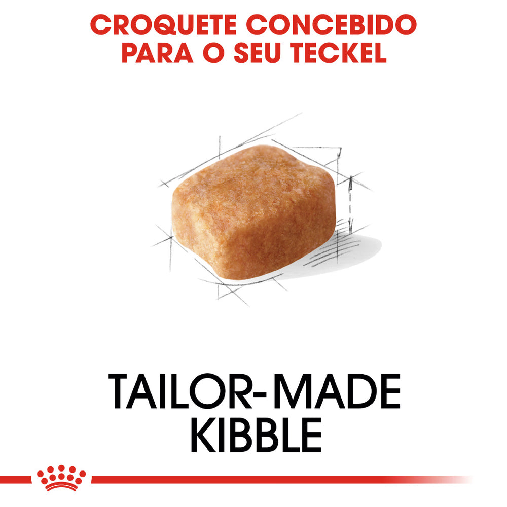 Royal Canin Perro Dachshund Adulto Aves - Pienso seco para perro