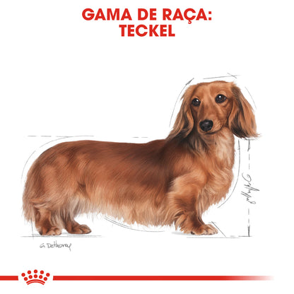 Royal Canin Perro Dachshund Adulto Aves - Pienso seco para perro