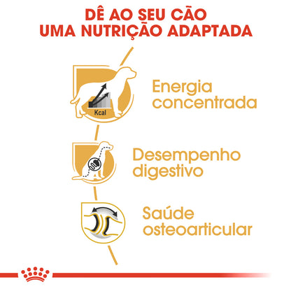 Royal Canin Cão Dogue Alemão Adulto Aves - Ração seca para cão