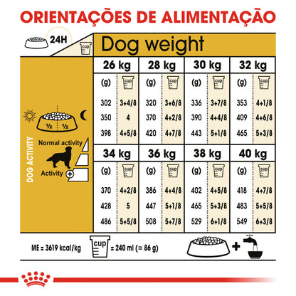 Royal Canin Perro Golden Retriever Adulto Aves - Pienso seco para perro