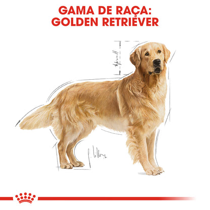 Royal Canin Perro Golden Retriever Adulto Aves - Pienso seco para perro