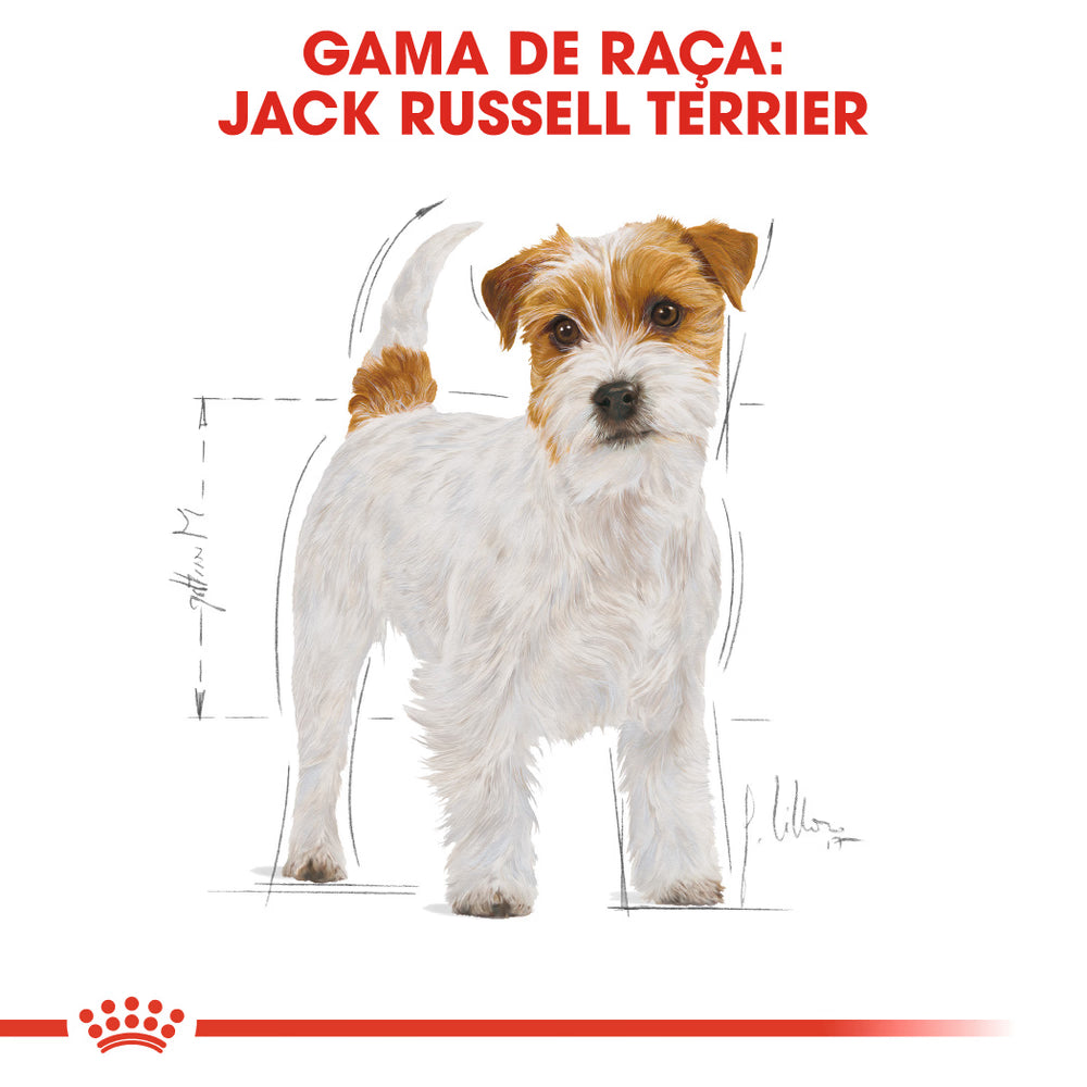 Royal Canin Perro Jack Russell Terrier Adulto Aves - Pienso seco para perro