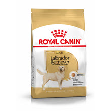 Royal Canin Labrador Retriever Adult Dog Poultry - Dry dog food for weight control