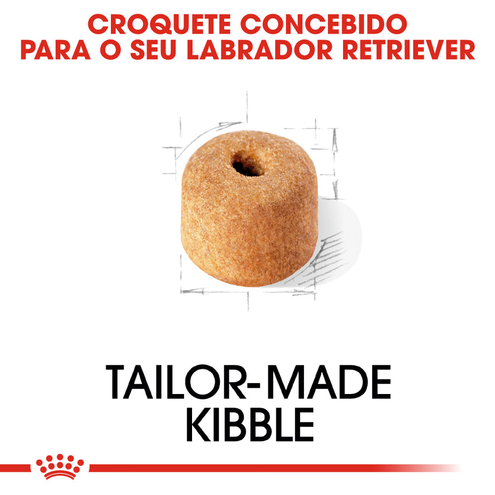 Royal Canin Labrador Retriever Adult Dog Poultry - Dry dog food for weight control