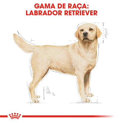Royal Canin Labrador Retriever Adult Dog Poultry - Dry dog food for weight control