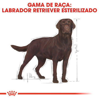Royal Canin Perro Labrador Retriever Adulto Esterilizado Aves - Pienso seco para perro esterilizado