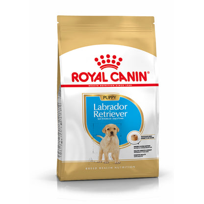 Royal Canin Perro Labrador Retriever Cachorro Aves - Pienso seco para perro