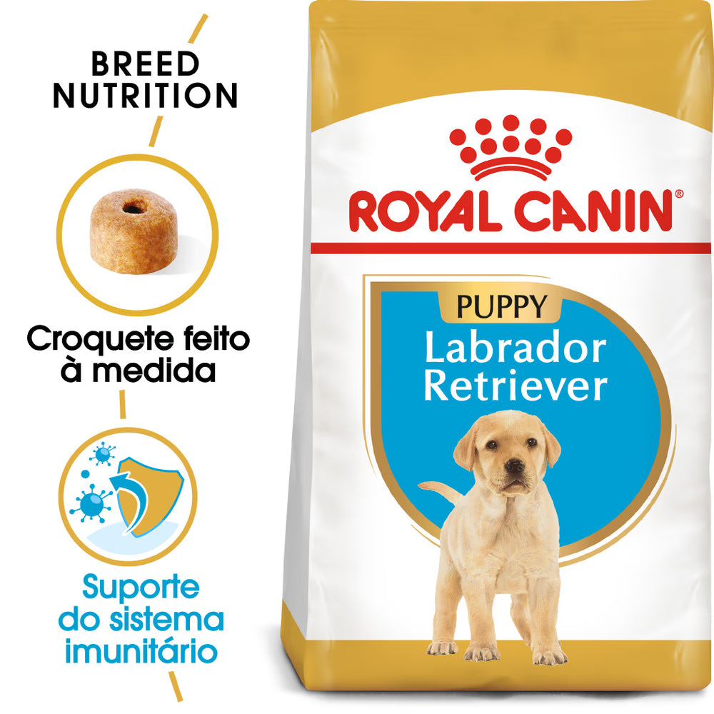 Royal Canin Perro Labrador Retriever Cachorro Aves - Pienso seco para perro