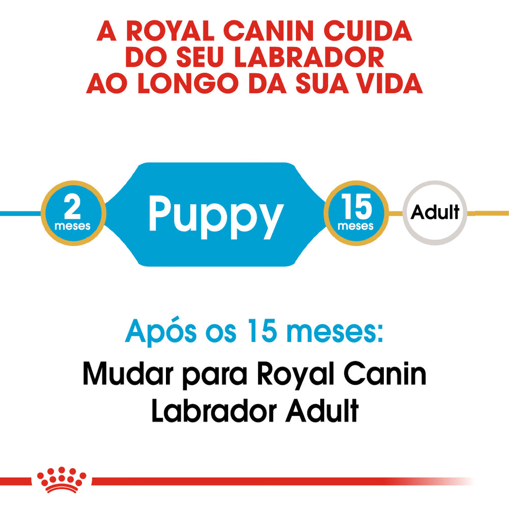 Royal Canin Perro Labrador Retriever Cachorro Aves - Pienso seco para perro
