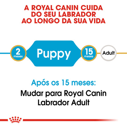 Royal Canin Perro Labrador Retriever Cachorro Aves - Pienso seco para perro