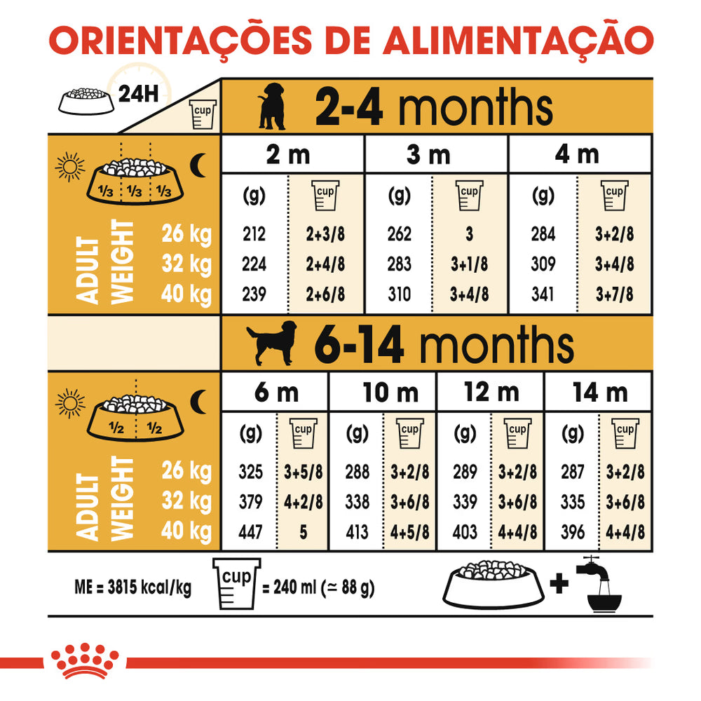Royal Canin Perro Labrador Retriever Cachorro Aves - Pienso seco para perro