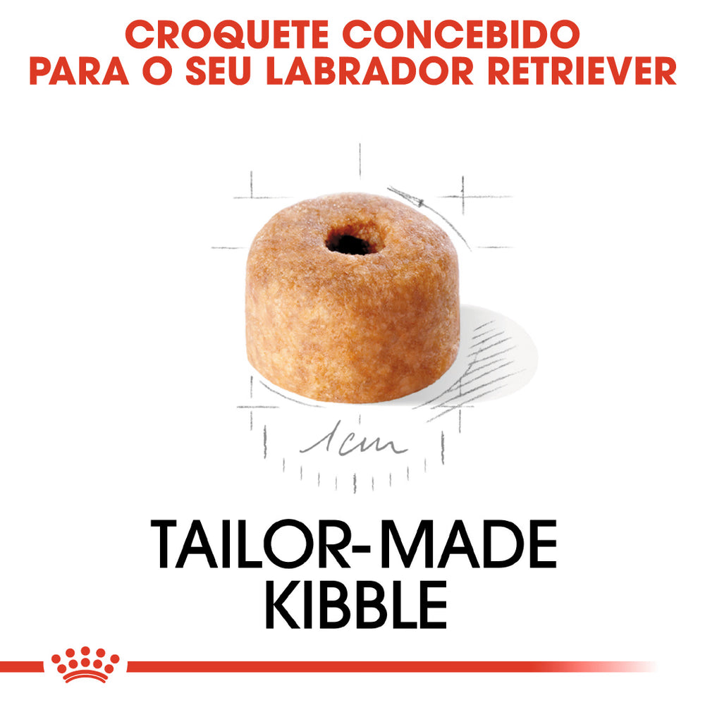 Royal Canin Perro Labrador Retriever Cachorro Aves - Pienso seco para perro