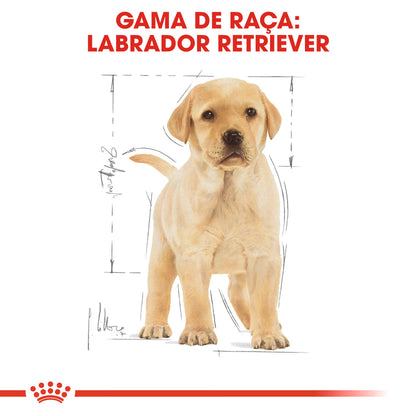 Royal Canin Perro Labrador Retriever Cachorro Aves - Pienso seco para perro