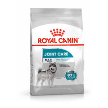 Royal Canin Perro Maxi Joint Care Aves - Pienso seco para perro para soporte articular