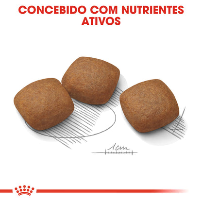 Royal Canin Perro Maxi Joint Care Aves - Pienso seco para perro para soporte articular