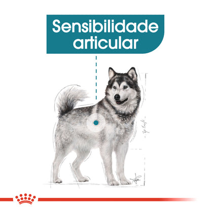 Royal Canin Perro Maxi Joint Care Aves - Pienso seco para perro para soporte articular