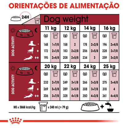 Royal Canin Perro Medium Ageing 10+ Aves - Pienso seco para perro