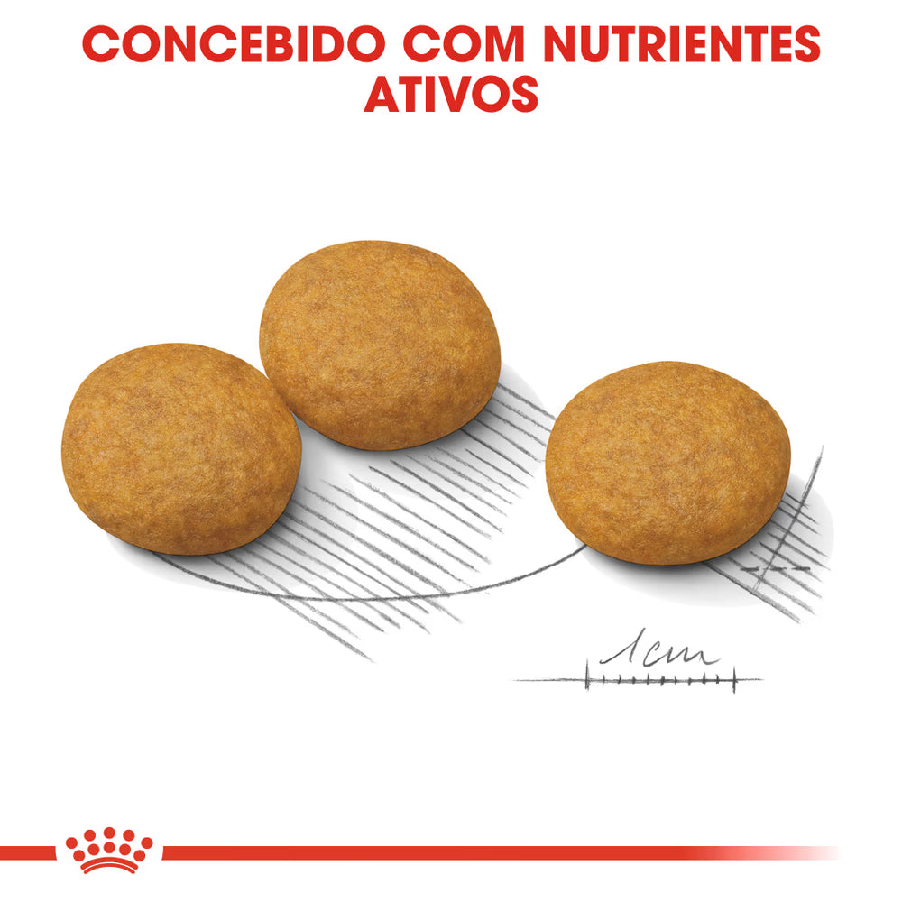 Royal Canin Perro Medium Dermacomfort - Pienso seco para perro con piel sensible
